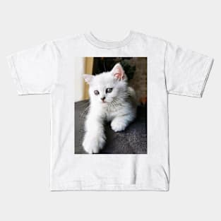 My Chinchilla Baby Kids T-Shirt